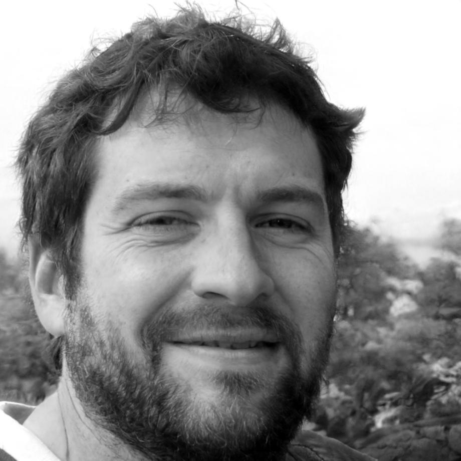 Carmelo Montesinos, Consultor Senior